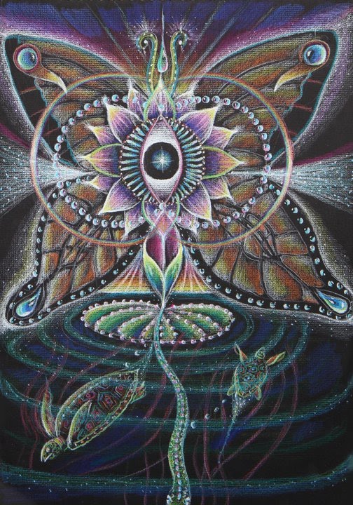 color pencil black paper5