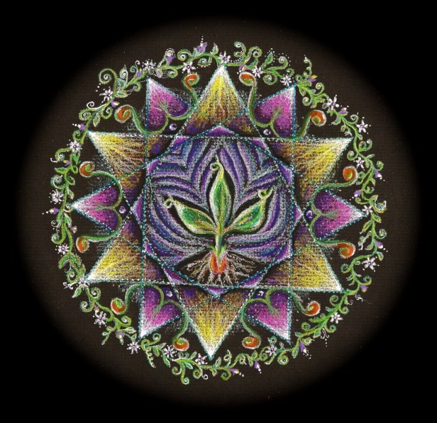 color pencil blk paper4